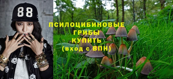 гидра Абдулино