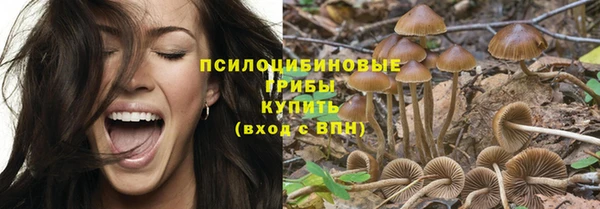 гидра Абдулино