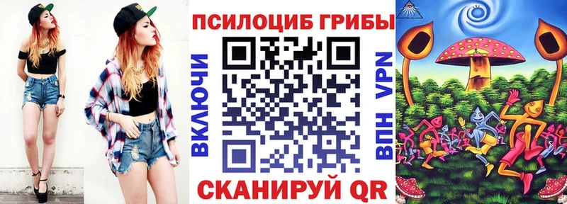 магазин продажи   Отрадная  Галлюциногенные грибы Cubensis 